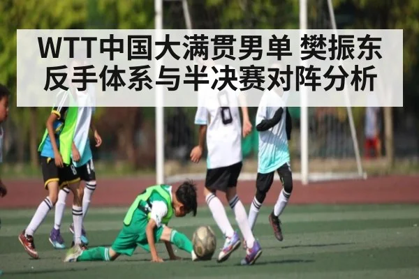 WTT中国大满贯男单 樊振东反手体系与半决赛对阵分析 - NG28
