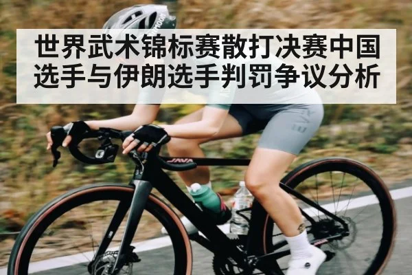 世界武术锦标赛散打决赛中国选手与伊朗选手判罚争议分析（NG28APP）